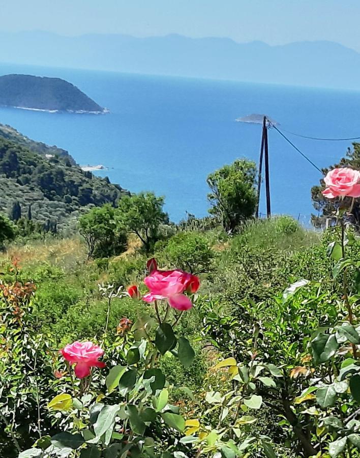 Villa Lemonia Γλώσσα Εξωτερικό φωτογραφία